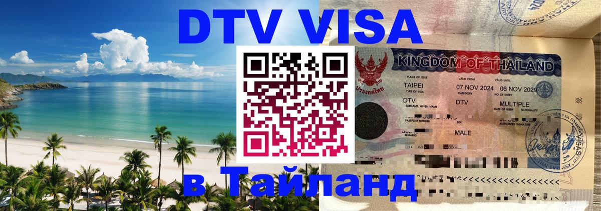 Сколько стоит DTV виза — актуальные цены, оформление даже без документов - 10.01.2026 